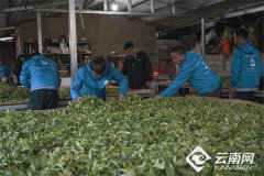 冰岛、昔归等焦点名寨价